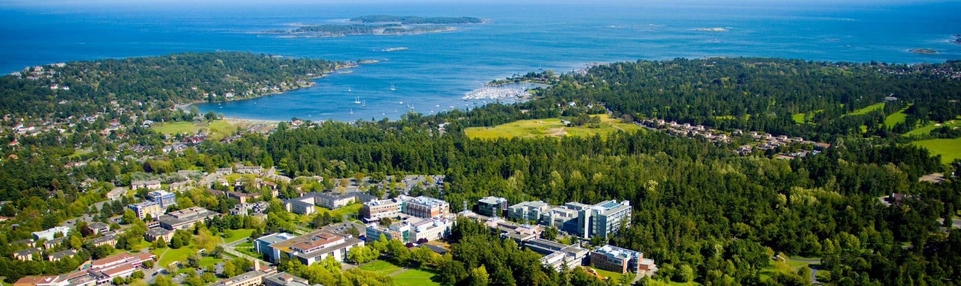 Condos For Sale Near Uvic Your Guide To Campus Living